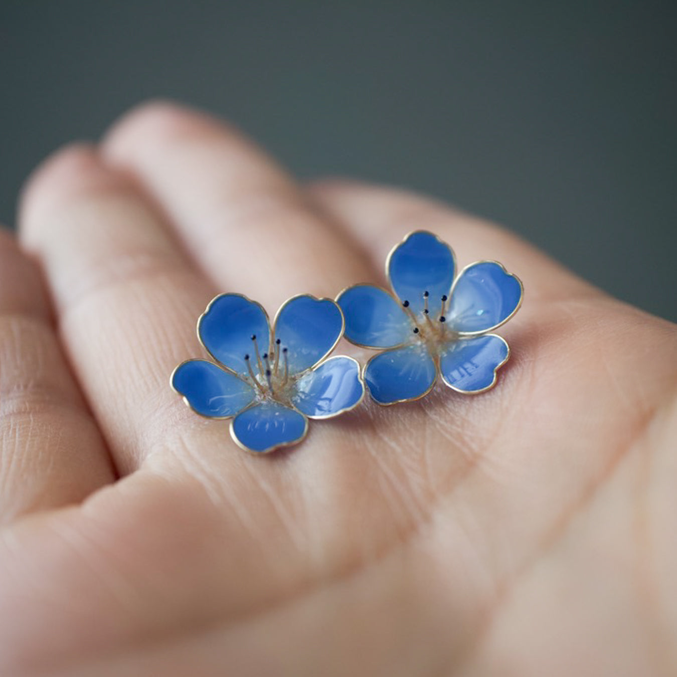 Nemophila