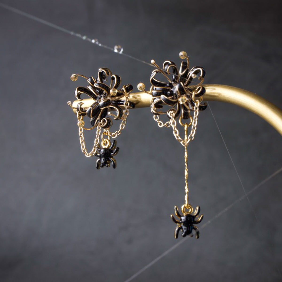 Spider Lily - Black Spider Lily -