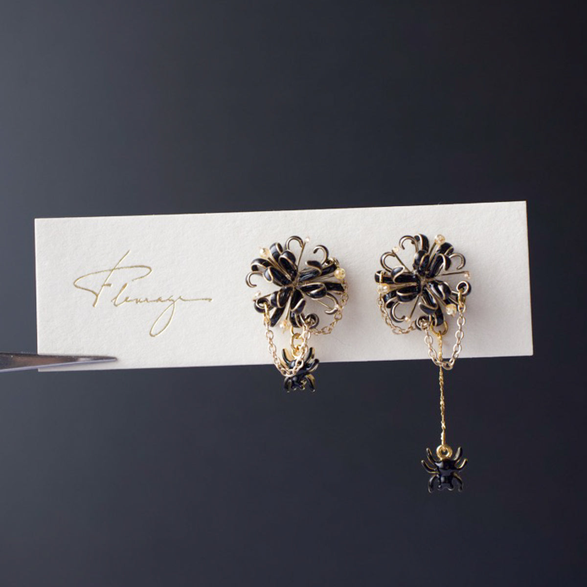 Spider Lily - Black Spider Lily -