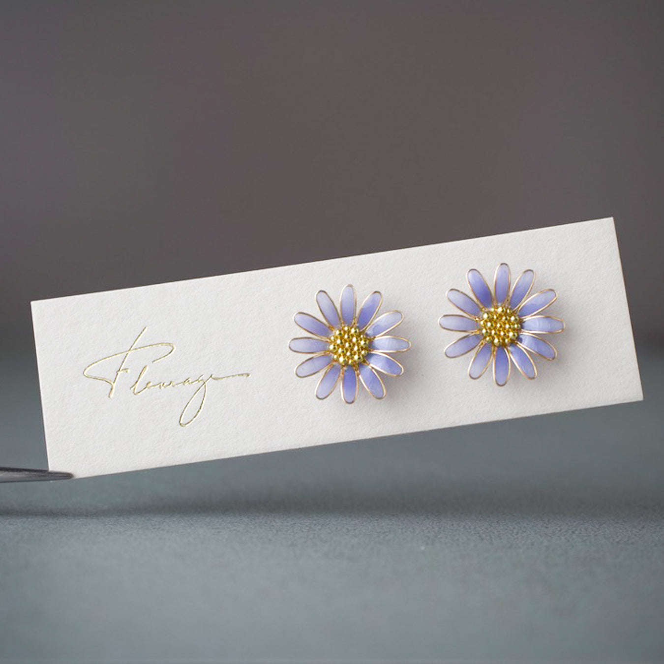 Blue daisy