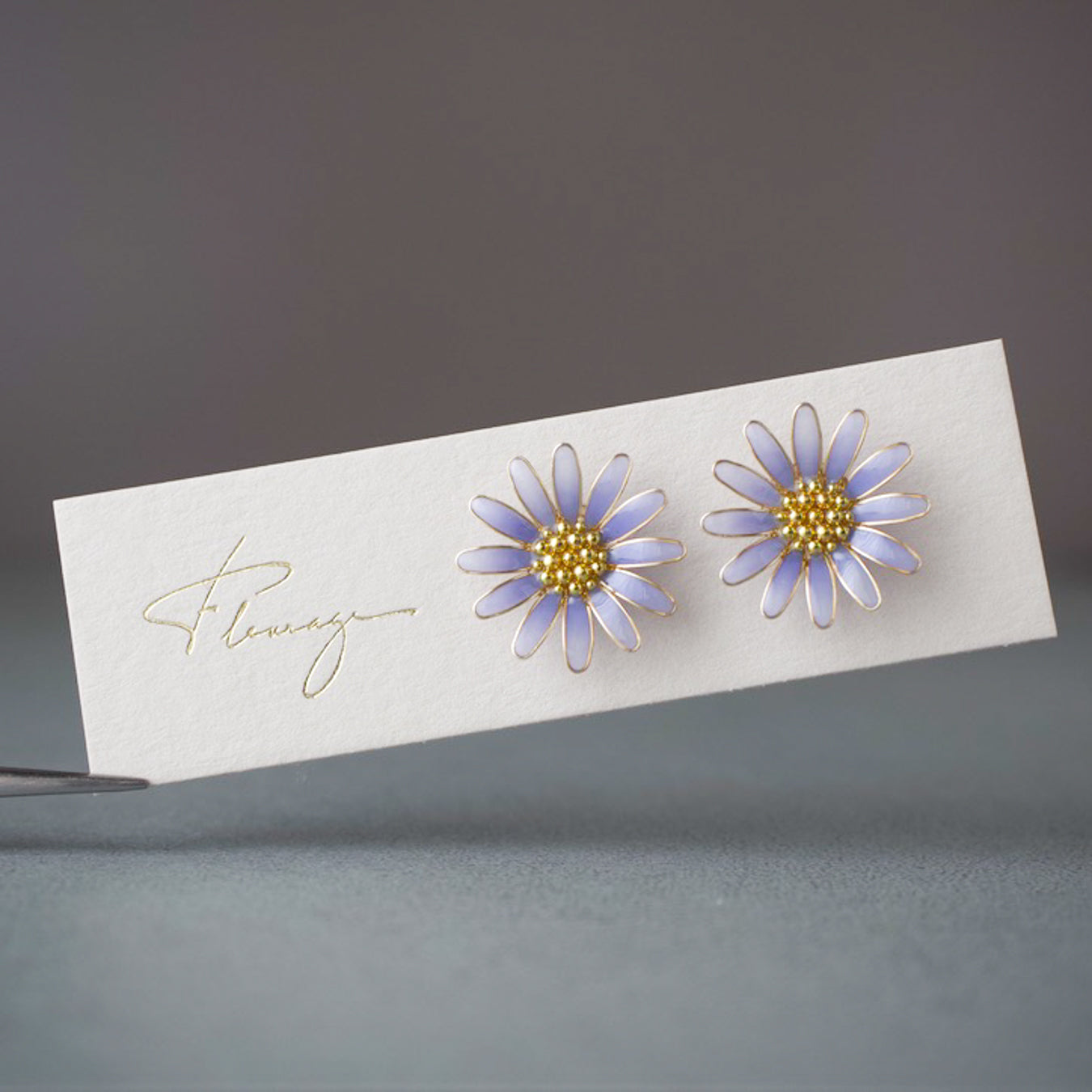 Blue daisy