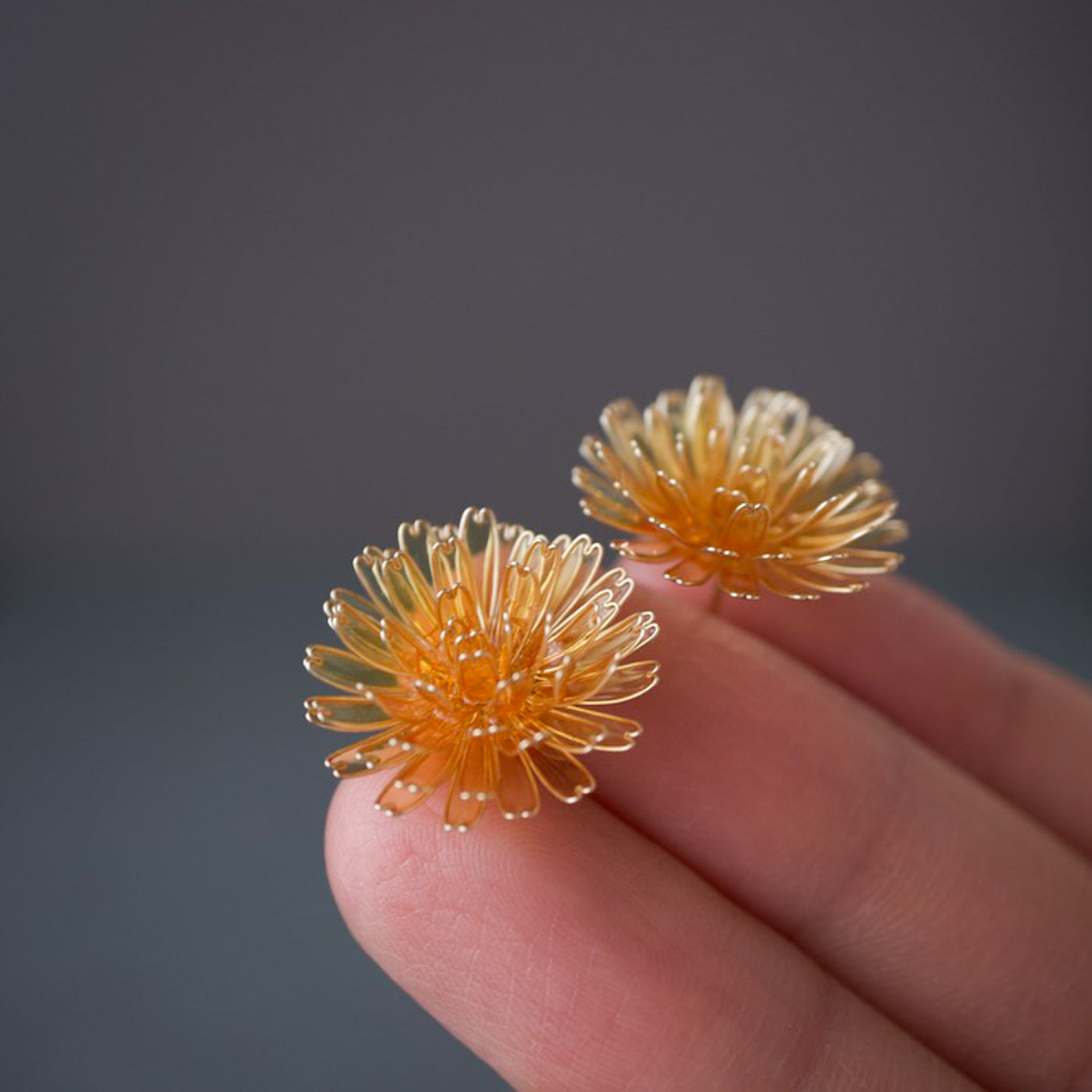 Dandelion