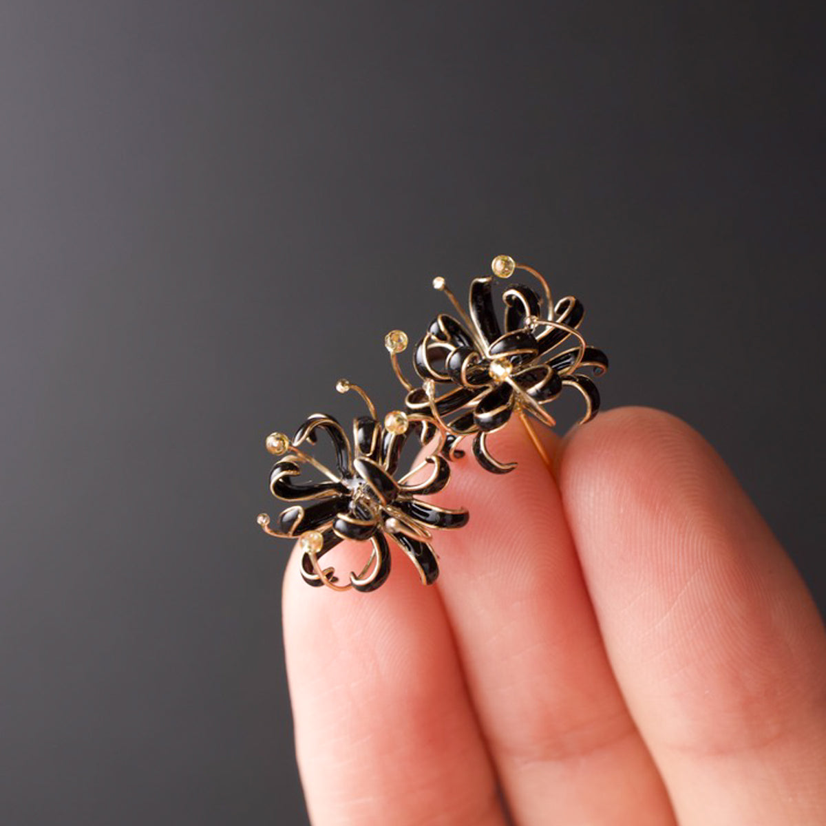Spider Lily - Black Spider Lily -