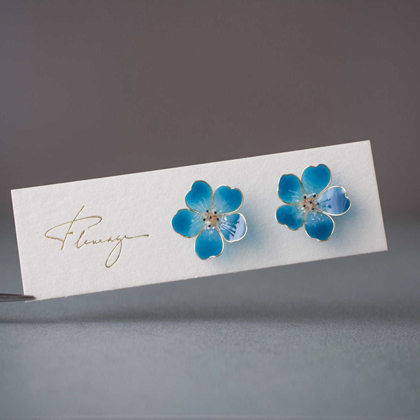 Nemophila