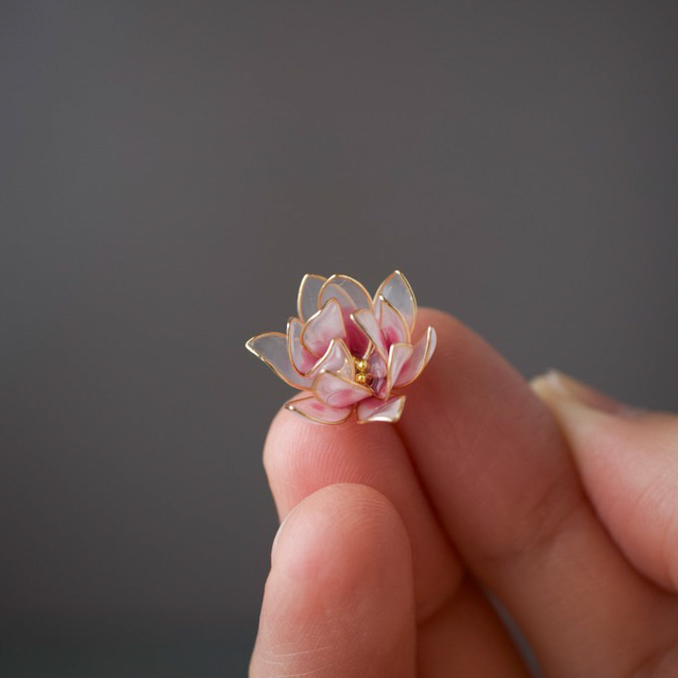 Magnolia
