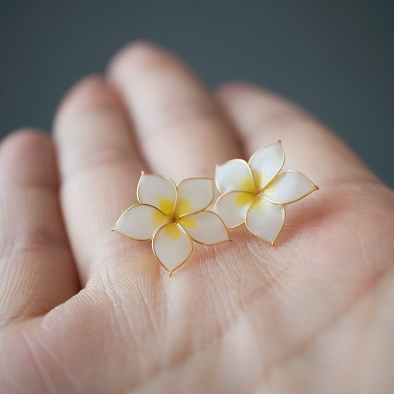 Plumeria