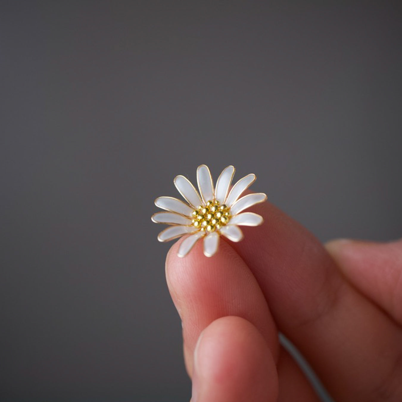Daisy