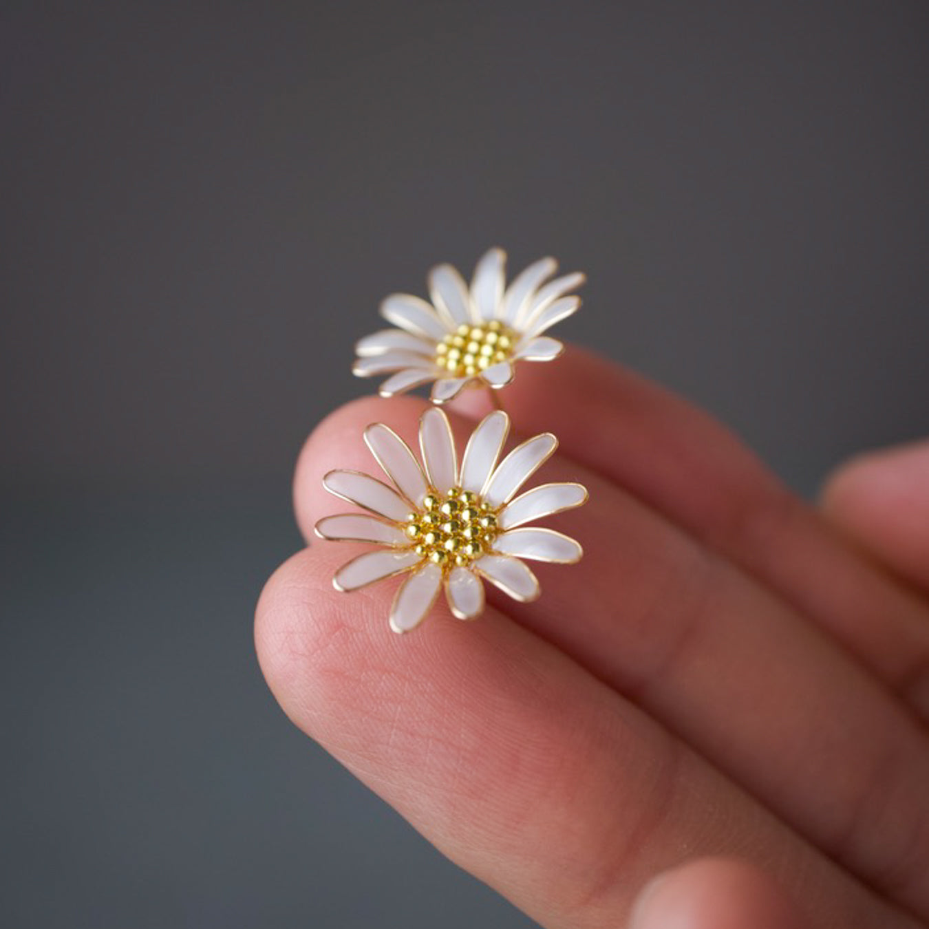 Daisy