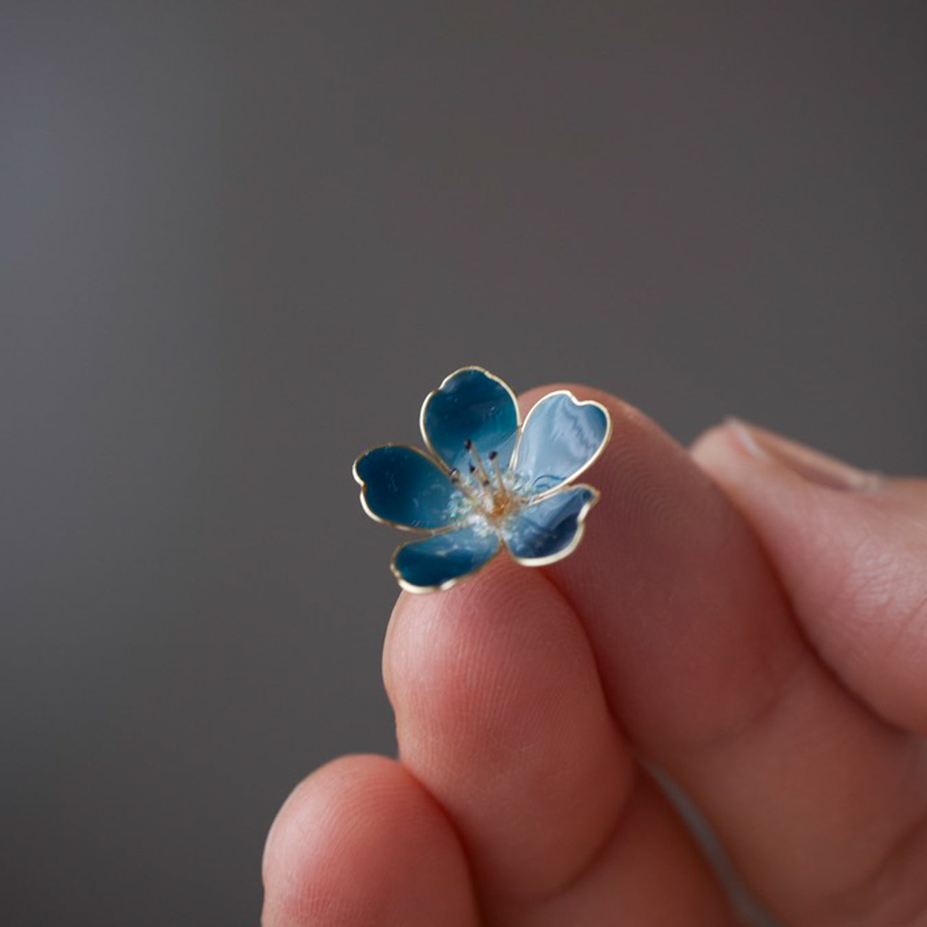 Nemophila