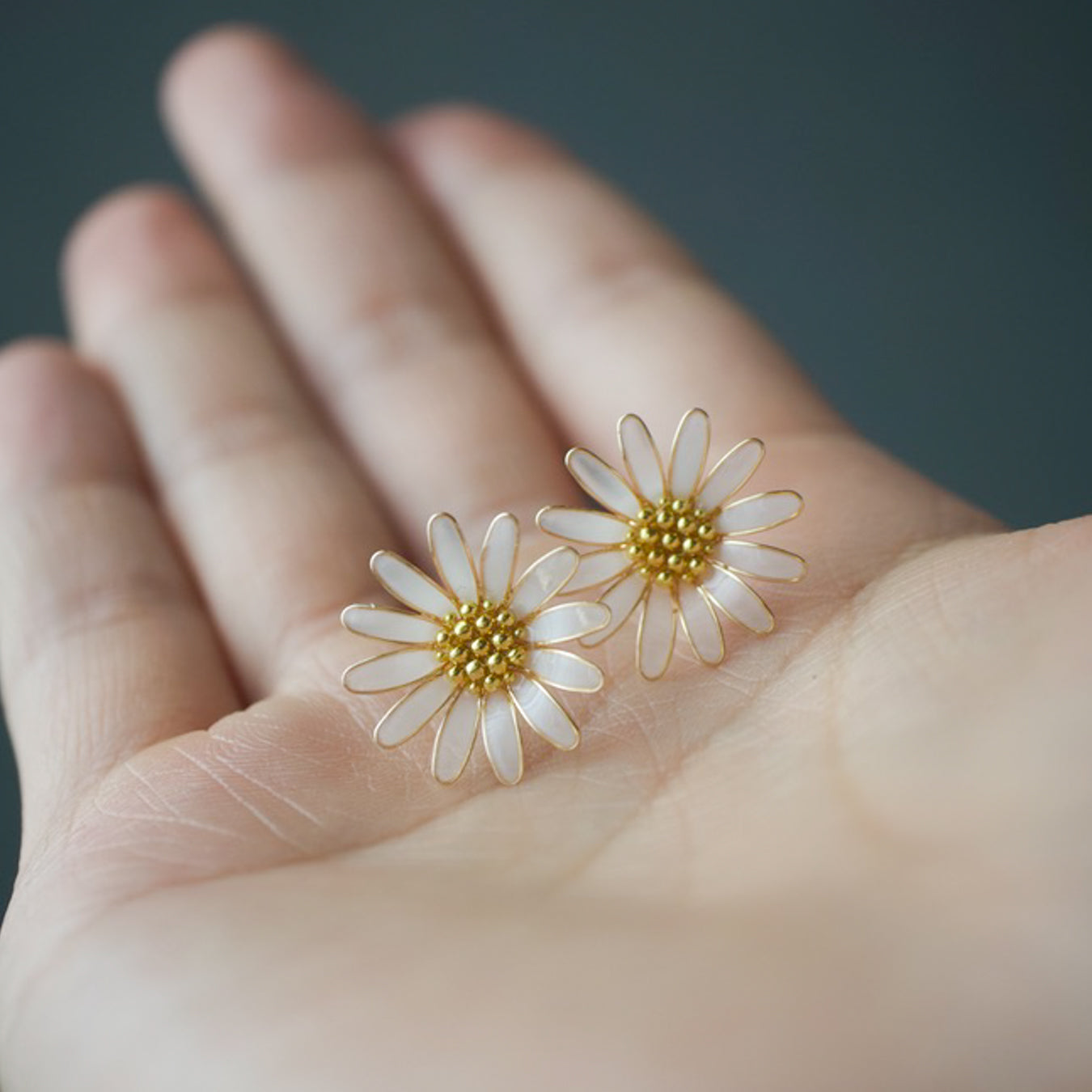 Daisy
