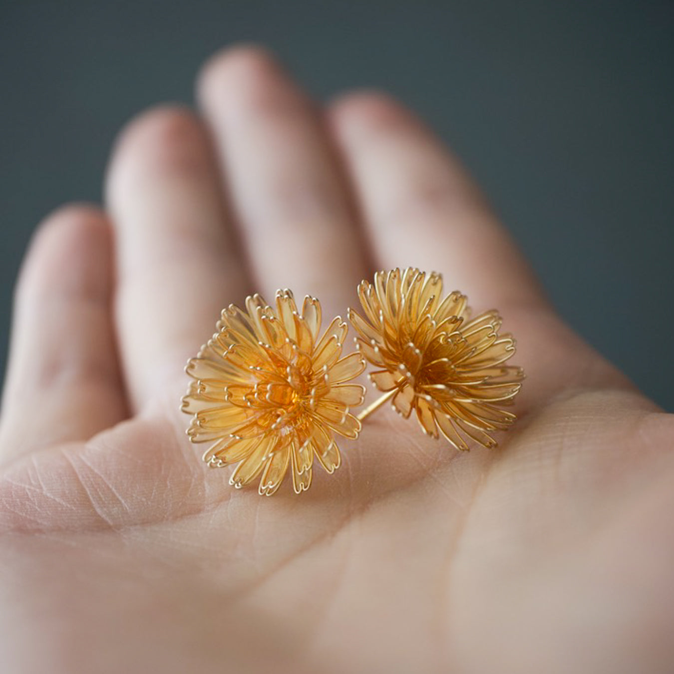 Dandelion