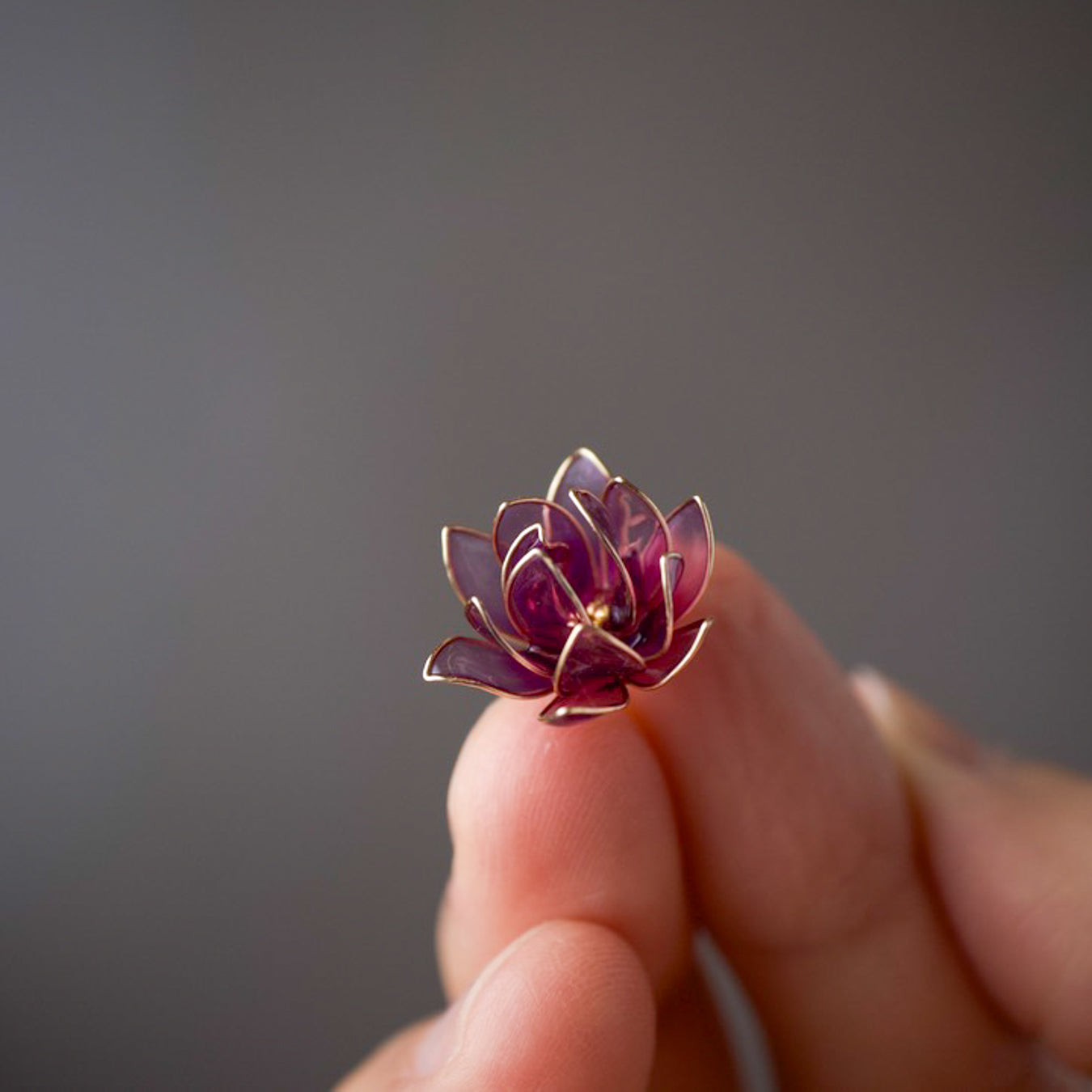 Magnolia