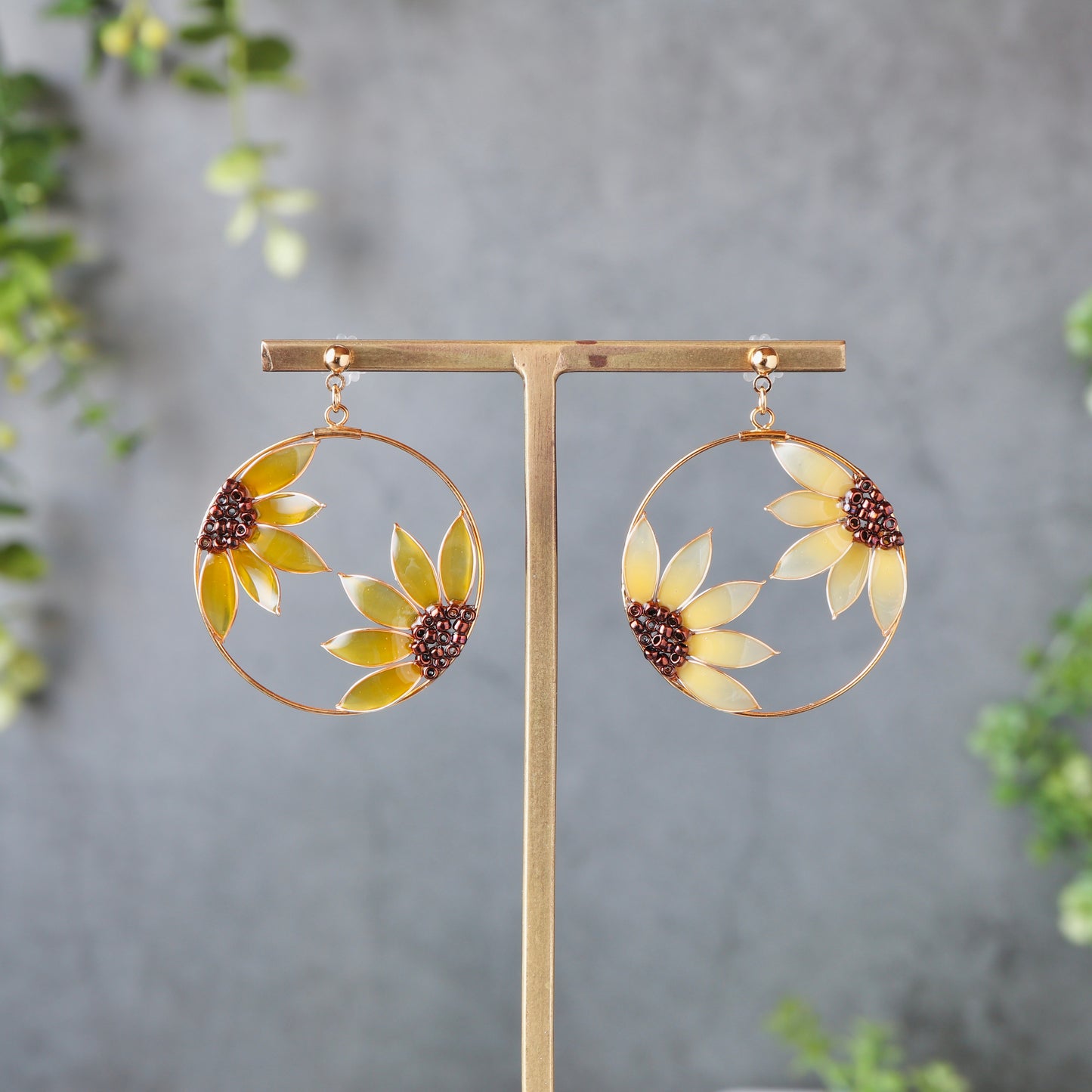 Sunflower within a Frame