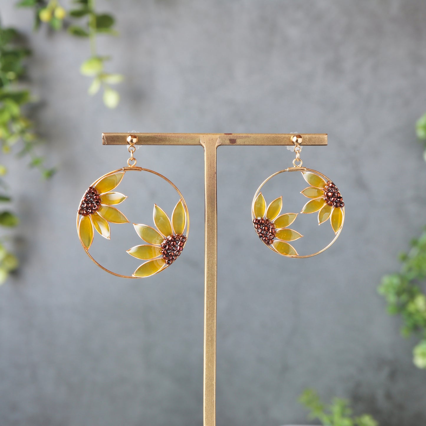 Sunflower within a Frame